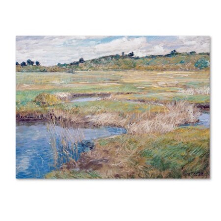 Childe Hassam 'The Concord Meadow' Canvas Art,35x47